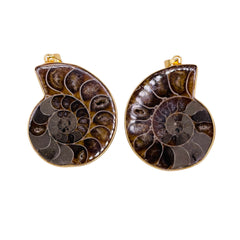 40mm Ammonite Fossil Pendants