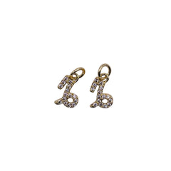 10x7mm Capricorn Zodiac Charm