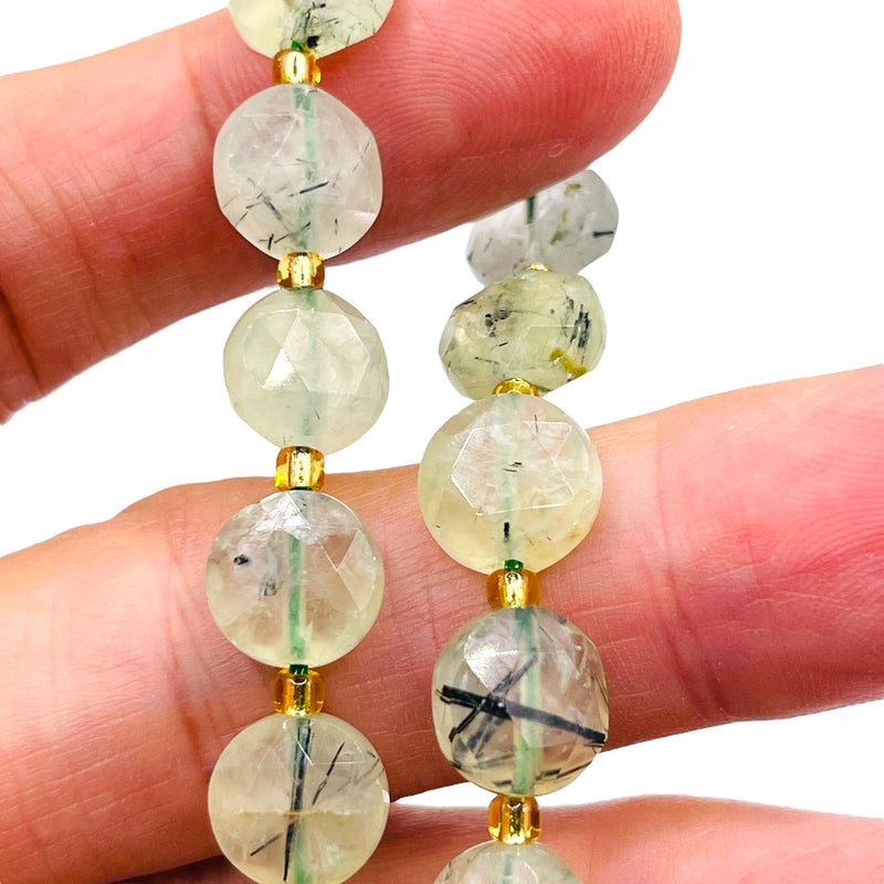 10mm Coin Cut Prehnite
