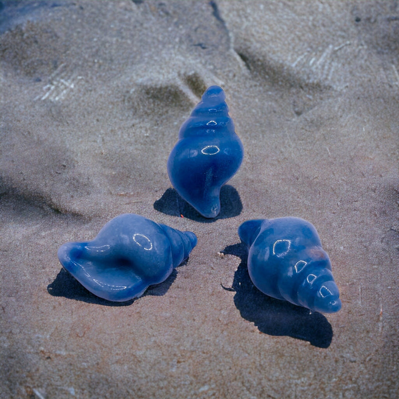 Blue Aventurine Sea Snail