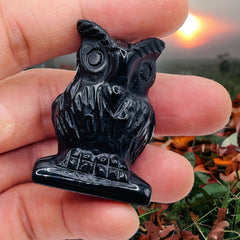 Obsidian Owl