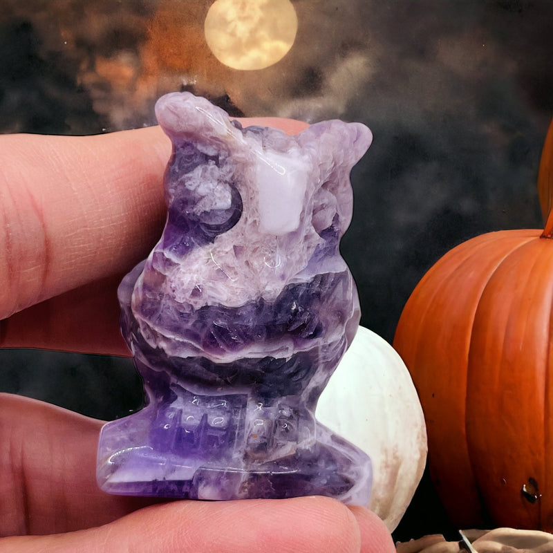 Amethyst Owl