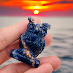 Sodalite Owl