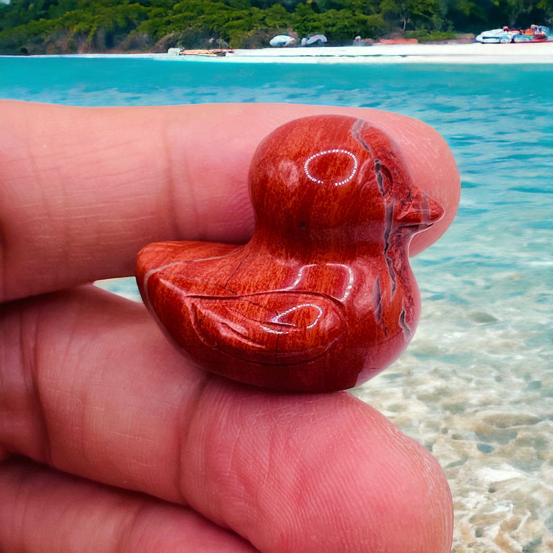 Red Jasper Duck