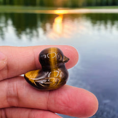 Tiger Eye Duck