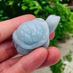 Amazonite Turtle