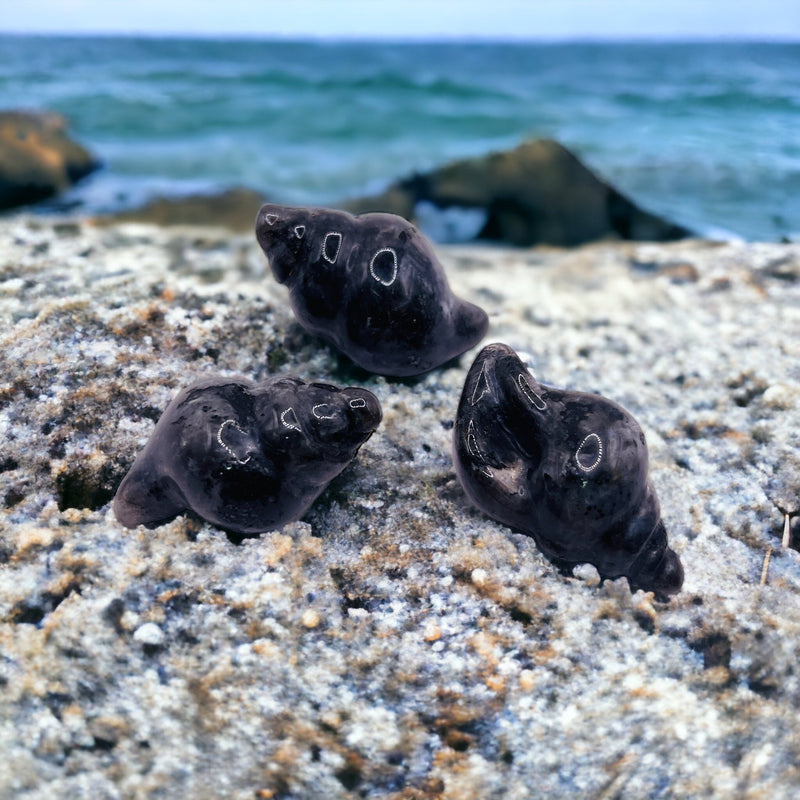 Labradorite Sea Snail