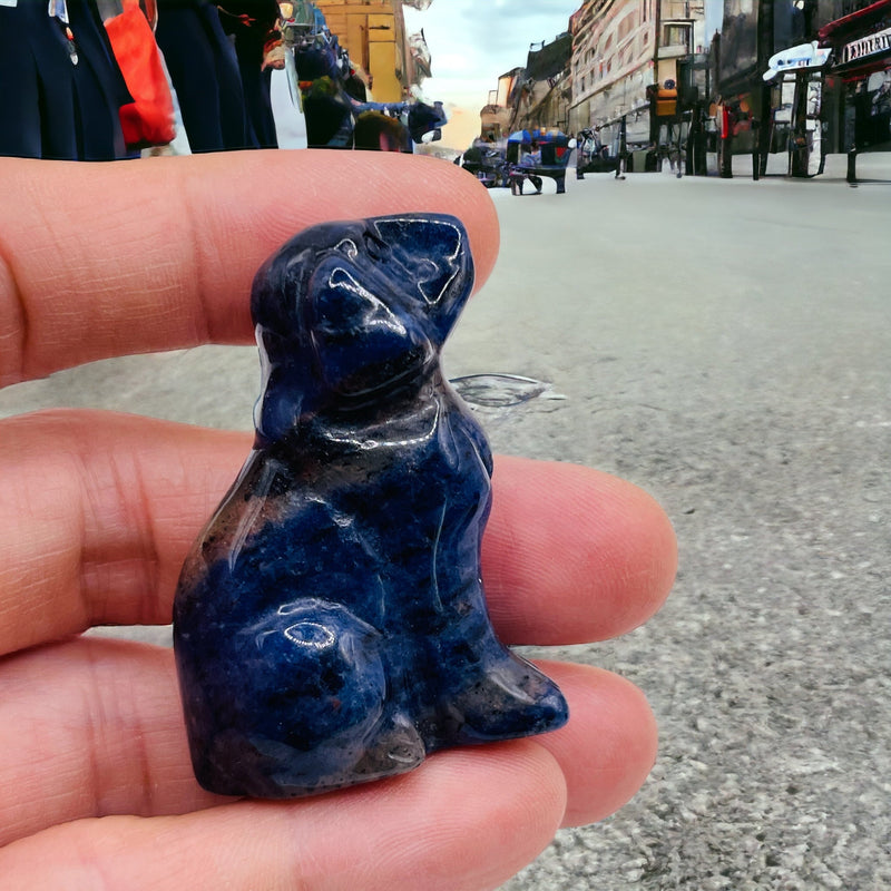 Sodalite Dog