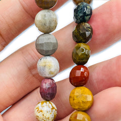 10mm Coin Cut Mookaite