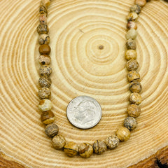 6mm Flat Coin Cut Picture Jasper